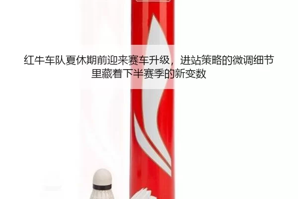hong-niu-che-dui-xia-xiu-qi-qian-ying-lai-sai-che-sheng-ji-jin-zhan-ce-lve-de-wei-diao-xi-jie-li-cang-zhe-xia-ban-sai-2-284.jpg
